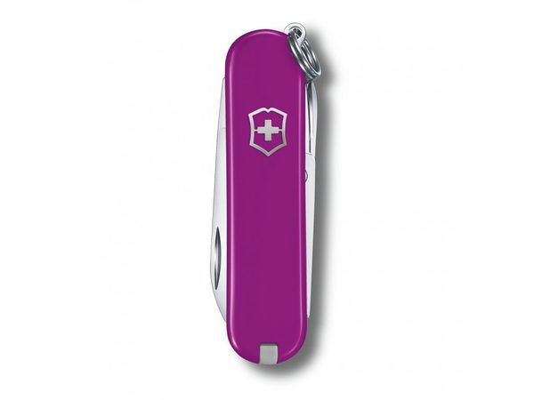 Nůž Victorinox Classic SD Colors Tasty Grape 0.6223.52B1 + 5 let záruka, pojištění a dárek ZDARMA