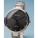 BERING TITANIUM 11334-772 - TITANIUM - BRANDS