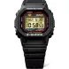 CASIO G-SHOCK DW-5040PG-1ER 40TH ANNIVERSARY RECRYSTALLIZED - CASIO - ZNAČKY