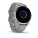 GARMIN VENU 2 PLUS SILVER/GRAY SILICONE BAND - 010-02496-10 - VENU 2 PLUS - ZNAČKY