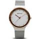 BERING CLASSIC 12934-060 - CLASSIC - BRANDS