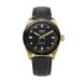 VULCAIN SKINDIVER NAUTIQUE GOLD / BLACK - SKINDIVER NAUTIQUE - ZNAČKY
