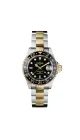 DAVOSA TERNOS CERAMIC GMT 161.591.50 - TERNOS - BRANDS