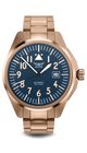 AVIATOR AIRACOBRA 43 AUTO V.3.39.2.335.5 - AIRACOBRA 43 AUTO - BRANDS