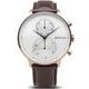 Bering Classic 13242-564