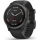 Garmin fenix6S PRO Sapphire, Gray/Black Band (MAP/Music) 010-02159-25