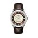 Tissot Luxury Automatic Lady T086.207.16.261.00