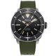 Alpina Seastrong Diver 300 Automatic AL-525LGG4V6