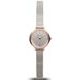 Bering Classic 11022-064