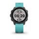 Forerunner 245