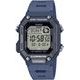 Casio Collection WS-B1000-2AVEF