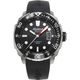 Alpina Seastrong Diver 300 Automatic AL-525LB4V36