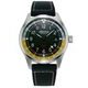 Alpina Startimer Pilot Quartz GMT AL-247BBG4S6