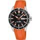 Festina The Originals 20378/5