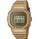 Casio G-Shock DWE-5600HG-1ER Gold Chain