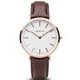 Bering Classic 13738-564