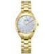 Bering Solar 17331-734