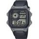 Casio Collection AE-1200WHUB-8AVEF