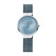 Bering CLASSIC 19031-308