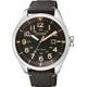 Citizen Eco-Drive AW5000-24E