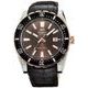Orient Mako XL V2 FAC09002T0
