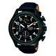 Pulsar PS6057X1