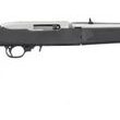 Ruger 10/22 TD