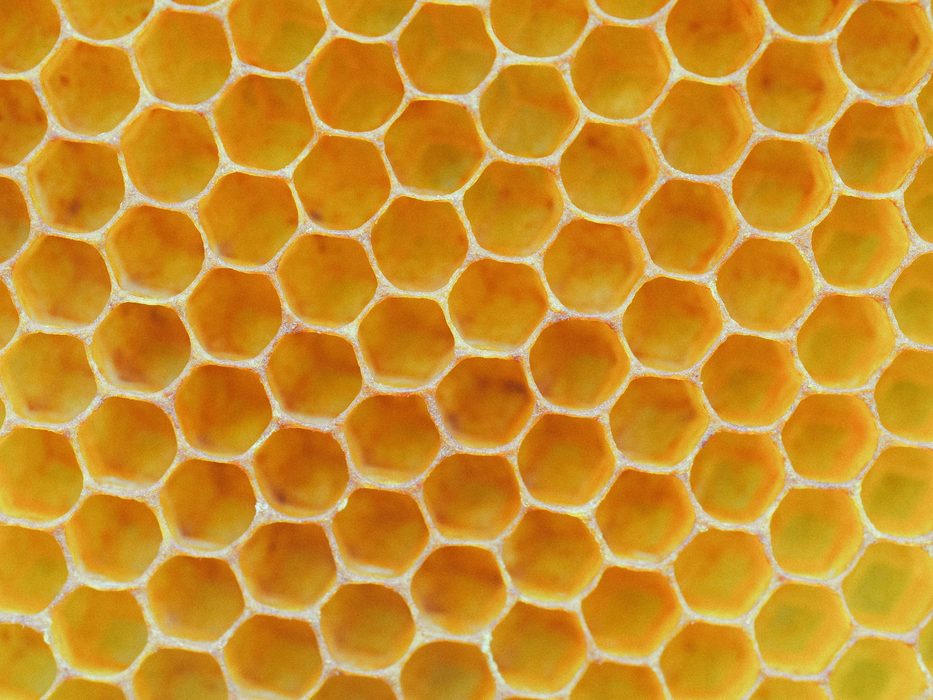 Poklad z včelího úlu