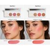 Couleur Caramel Multifunkční paletka Perfect Complexion edice Maharani