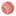 n°903 Nude pink