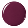 n°47 Blueberry