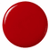 n°42 Poinsettia red