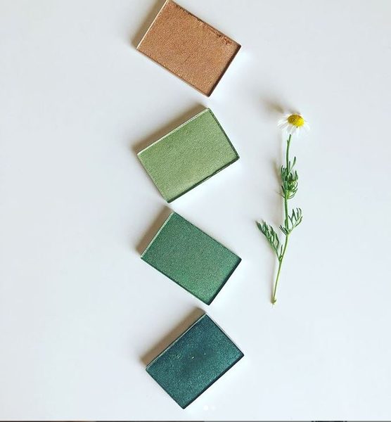 Kam se vydat za listopadovým líčením květinami?