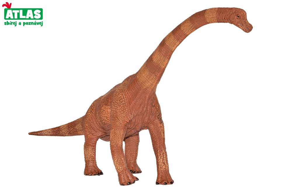 G - Dino figurin Brachiosaurus 30cm, Atlas, W101830