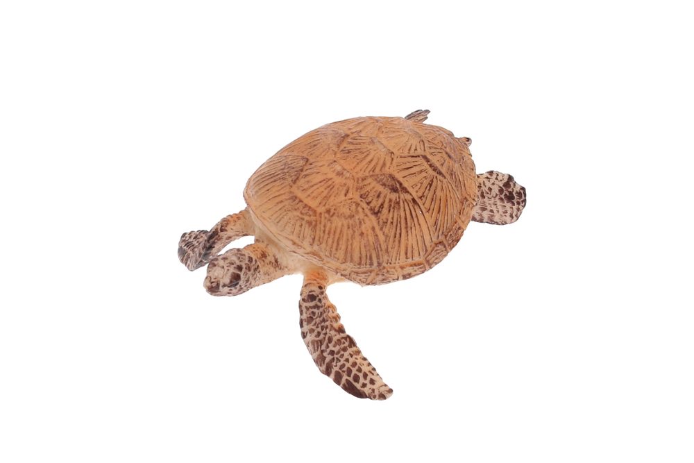 B - Figurin Turtle 8 cm, Atlas, W101915
