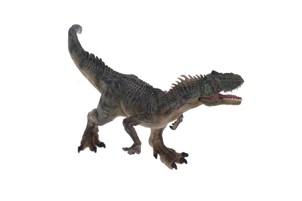 F - figurin Torvosaurus 24 cm, Atlas, W101901