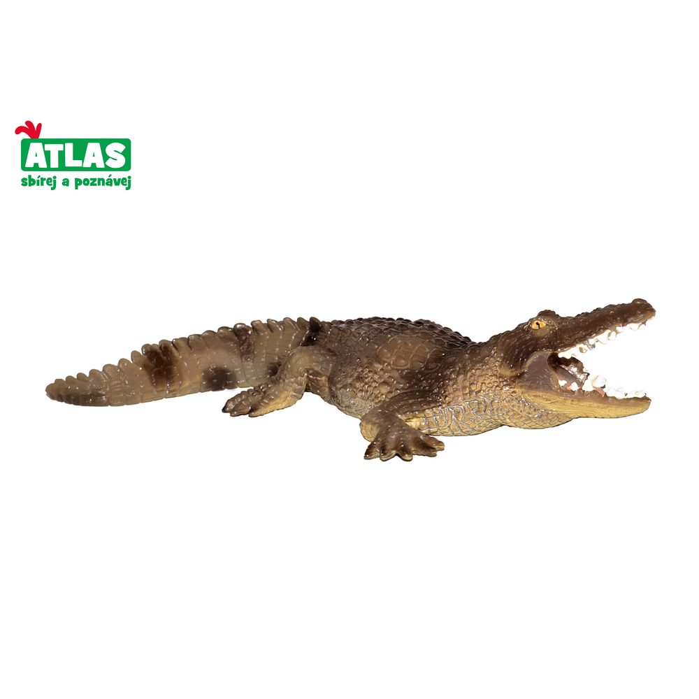 B - CIGURA krokodil 15cm, Atlas, W101821