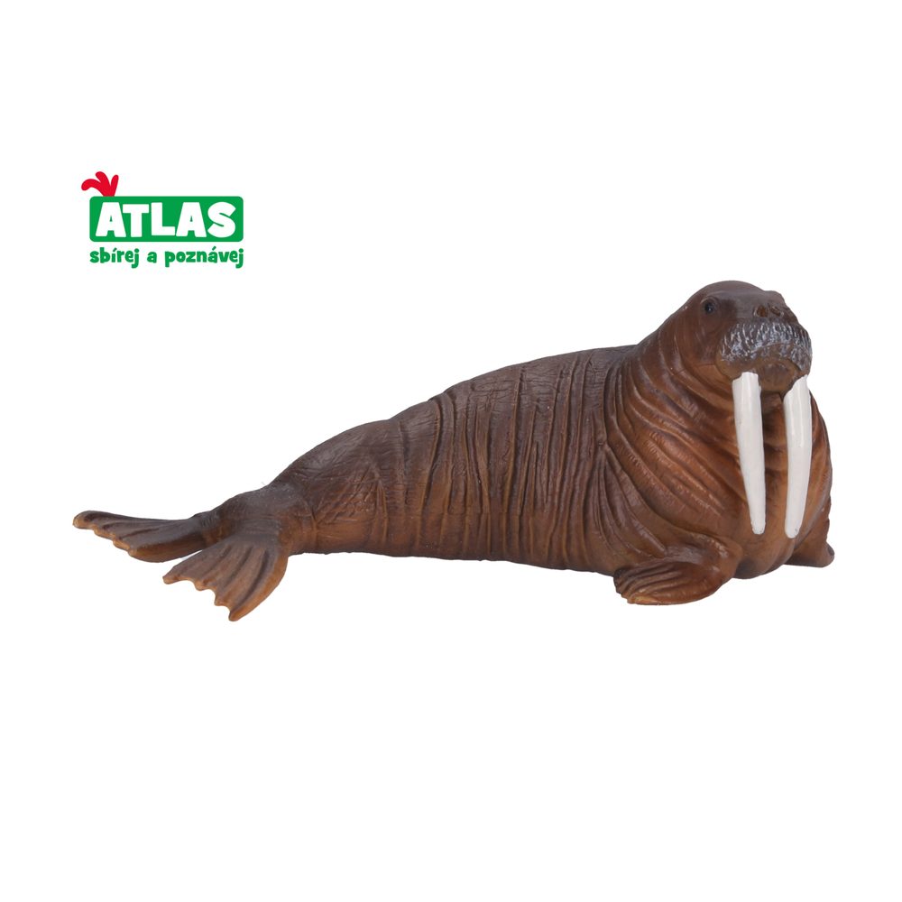 C - Walrus figurin 13 cm, Atlas, W001791