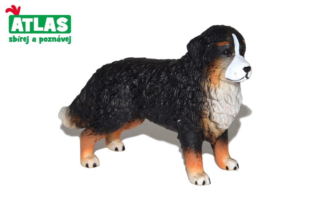 B - Figurin Bernese Mountain Dog 8 cm, Atlas, W101862