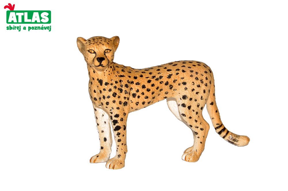 B - Figurine Cheetah 8cm, Atlas, W101822