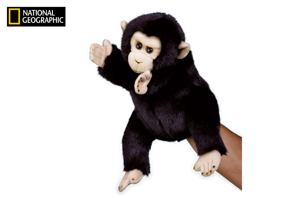 National Geographic maňásek Šimpanz, National Geographic, W011132