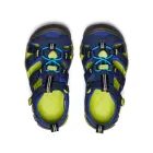 Pantaloni scurți pentru băieți, Minoti, DESERT 2, verde