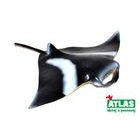 C - Figurină Pisică de mare 12cm, Atlas, W101852