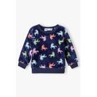 microfleece kapucnis pulóver állógallérral, Pidilidi, PD1069-02, fiú