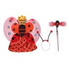 Súprava karneval - beruška, Wiky, W026043