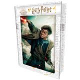 3D PUZZLE Harry Potter-Harry Potter 300pcs, W019133 