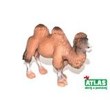 C - Camel 11cm, Atlas, W101847