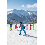 Pantaloni de schi de iarnă, Pidilidi, PD1008-04, albastru