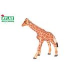 B - Figurină Pui de girafă 9cm, Atlas, W101814
