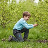 kalhoty sportovní outdoorové - bez podšívky, Pidilidi, PD1108-09, šedá